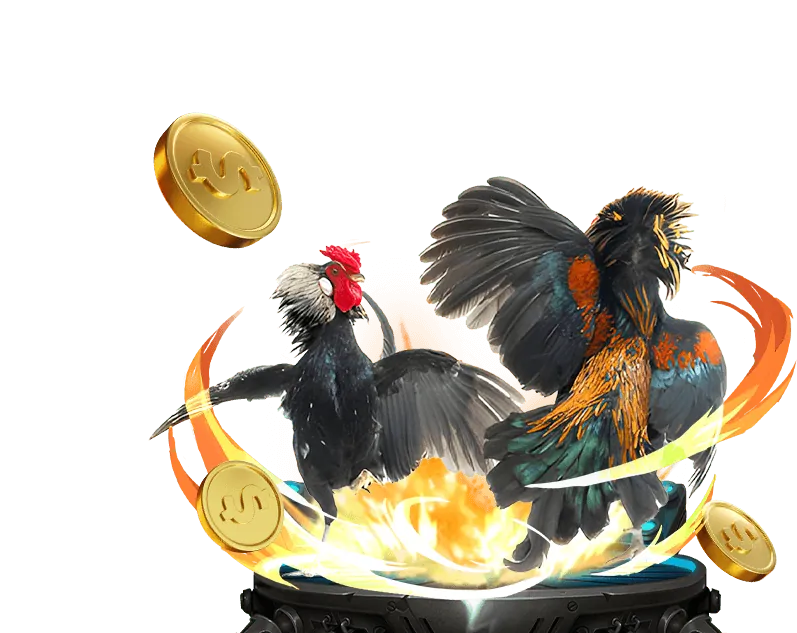 Mẹo và chiến thuật chơi đá gà hiệu quả tại ae88 ae888